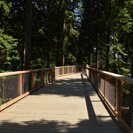 Krkonoše Tree Top Trail