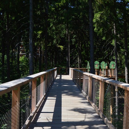 Krkonoše Tree Top Trail