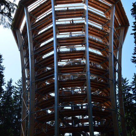 Krkonoše Tree Top Trail