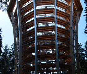 Baumspitze-Spur Riesengebirge